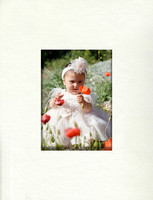 cover 002