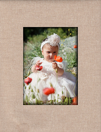 cover 003