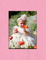 cover 005