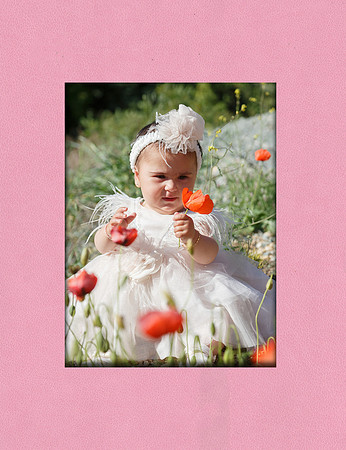 cover 005