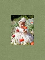 cover 007
