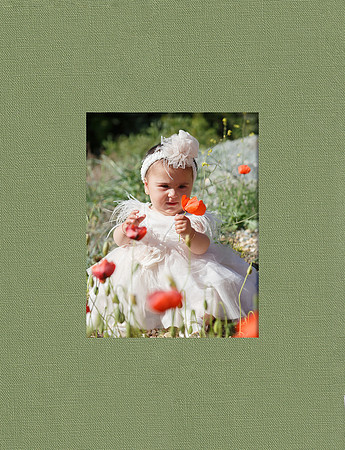 cover 007