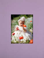cover 006