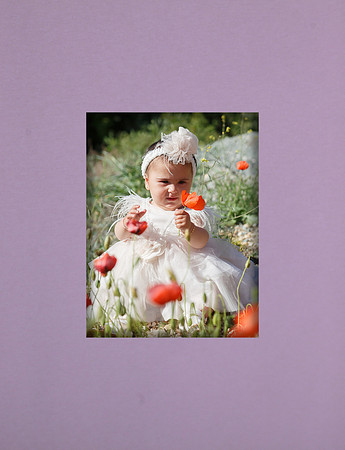 cover 006