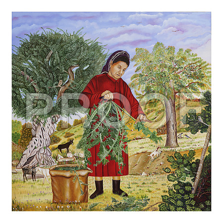 MAVROS 012